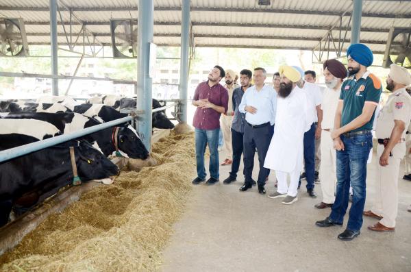 S. Gurmeet Singh Khudian Visiting dairy farm along wtih vice chancellor and officers of the varsity